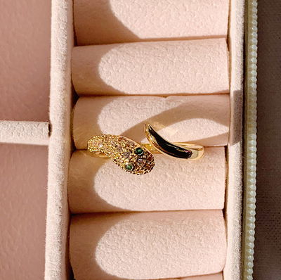Anillo snake - golden