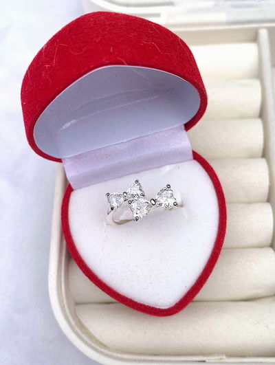 Anillo doble moño 