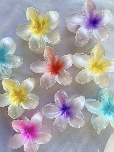 Broches flor hawaiana: perlados