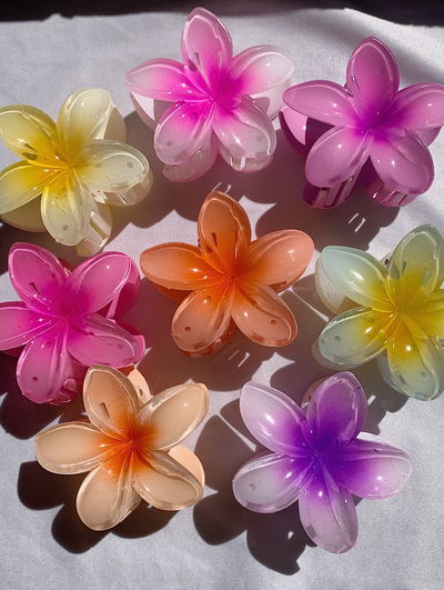 Broches flor hawaiana: grandes