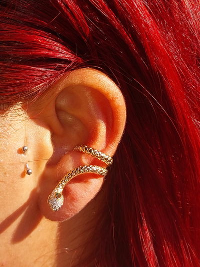 Solitario snake / dorado