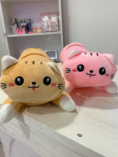 Peluche almohada gatito  