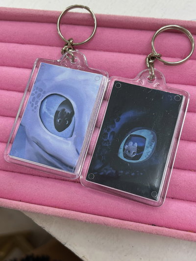 Llaveros Chimuelo y Furia Luminosa 