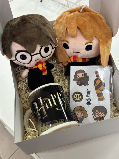 Box Harry Potter 