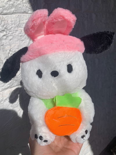 Peluche Pochacco