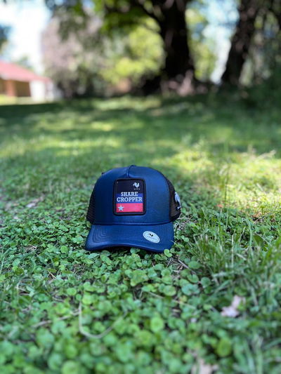 gorra share cropper