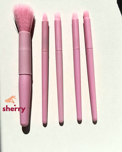 SET de Brochas x5