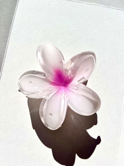 Broche Flor Blanco 