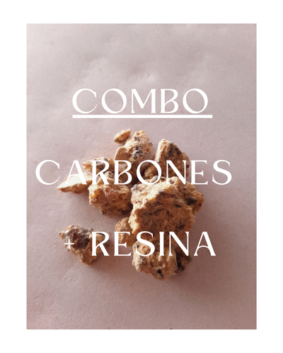 COMBO CARBONESX12 + BENJUÍ