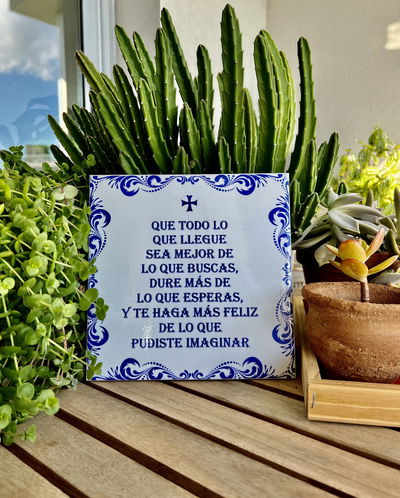 AZULEJO Que todo lo que llegue sea AZUL