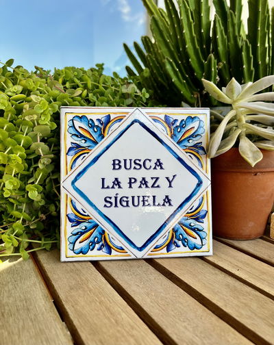 AZULEJO Busca la paz y síguela
