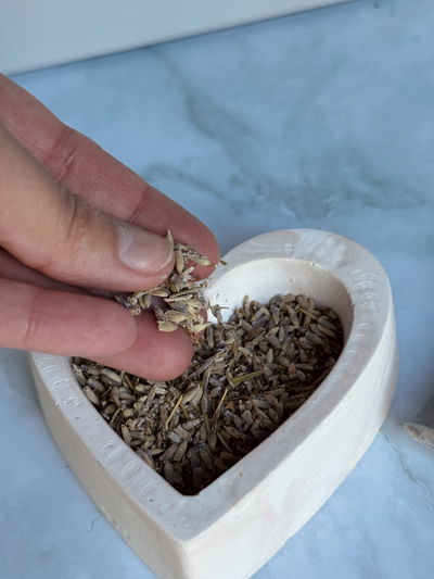 Lavanda 