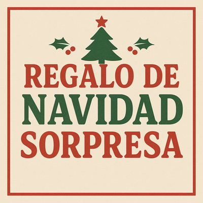 REGALO DE NAVIDAD 🎄🎁