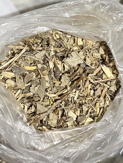 Salvia Blanca 