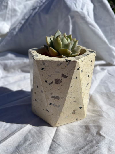 Maceta facetada N°8 en terrazzo