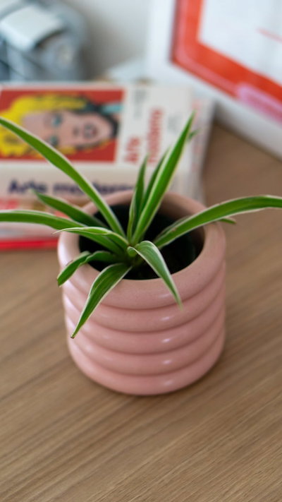 Maceta AROS N°10 FULL COLOR 💛