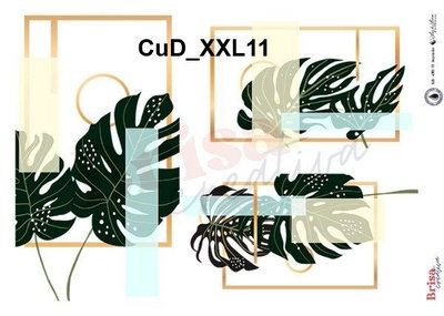 CuD-wXXL-11