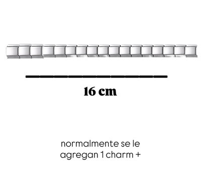 TIRA DE 17 CHARMS silver