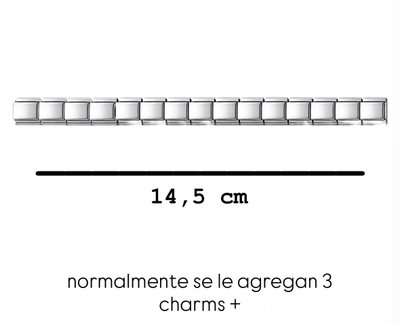 TIRA DE 15 CHARMS silver