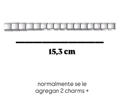 TIRA DE 16 CHARMS silver