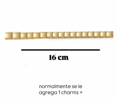 TIRA DE 17 CHARMS gold
