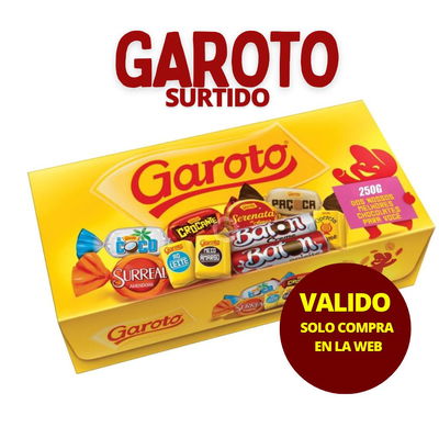 Garoto Surtido 