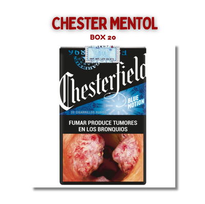 Chester Mentol Box 20
