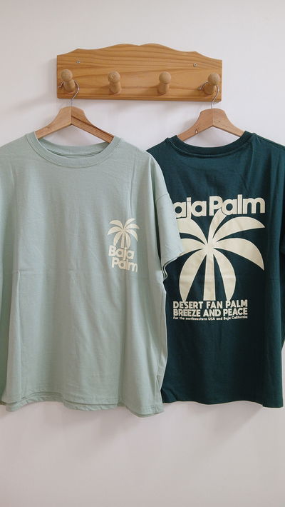 REMERON BAJA PALM