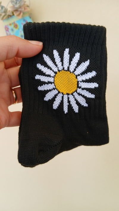 MEDIAS 1/4 MARGARITAS NEGRAS 