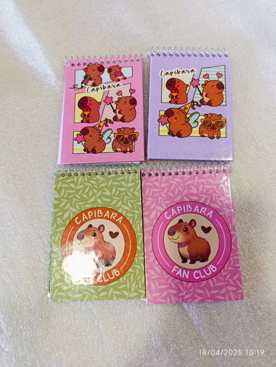 MINI LIBRETITAS