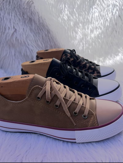 Star eco 41 y 42