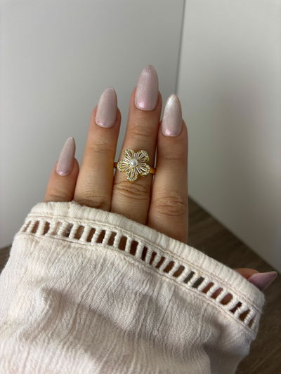 Anillo Giratorio AD