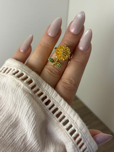 Anillo Giratorio AD