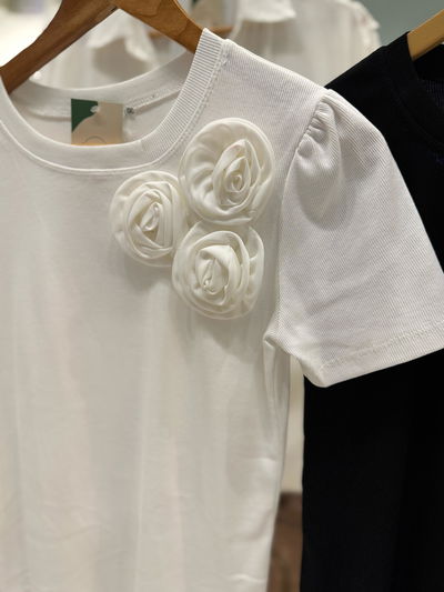 Remera de algodon