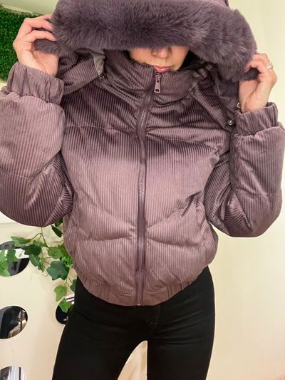 Campera 