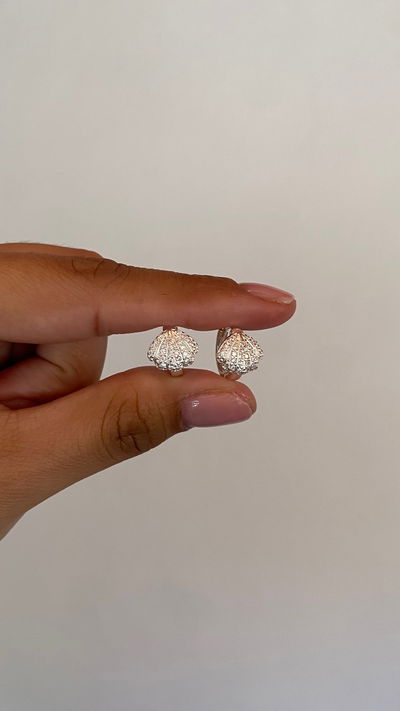 argollitas ostras zircon 
