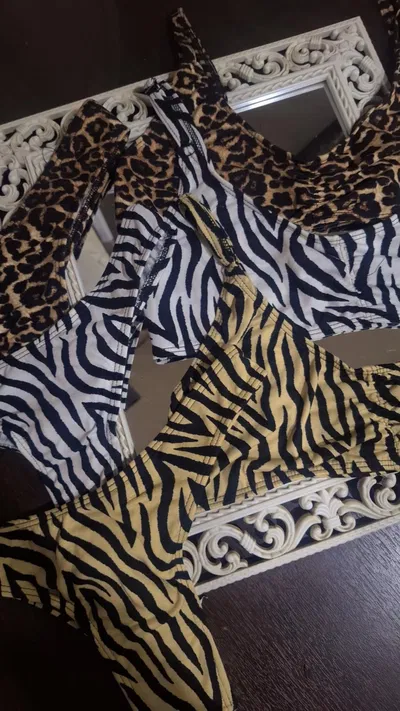Conjunto cebra 