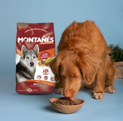 Alimento balanceado perros adultos Montañés