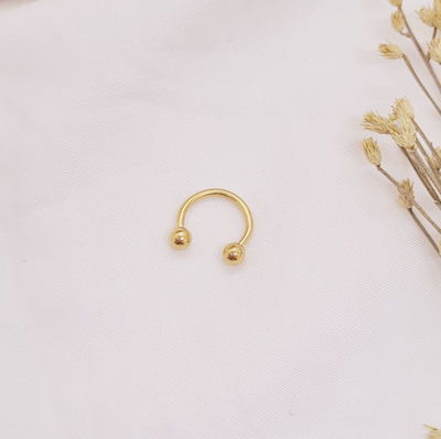 Septum