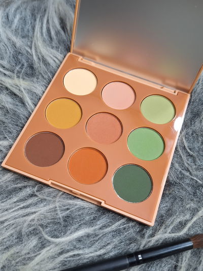 Paleta de Sombras Morphe 9B Matte Essentials