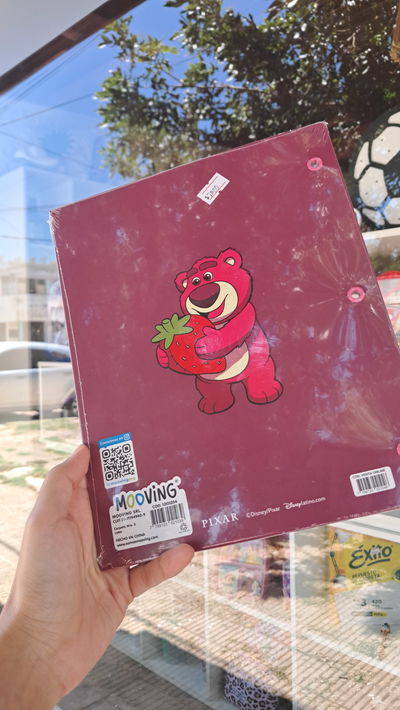 Carpeta lotso