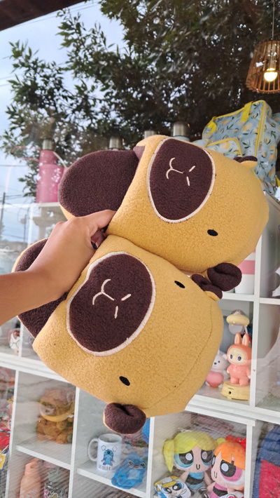 Pantuflas Capybara 