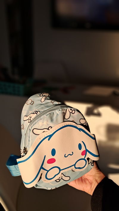 Bolsito Cinnamoroll 