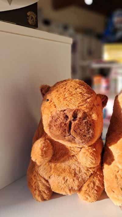 Peluche capybara
