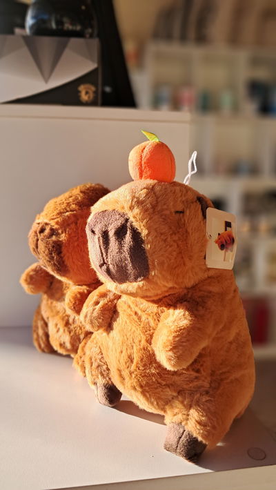 Peluche capybara naranja