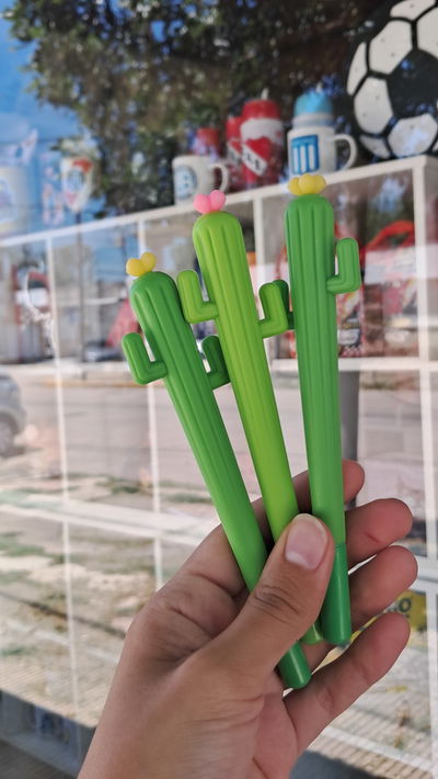 Lapicera Cactus