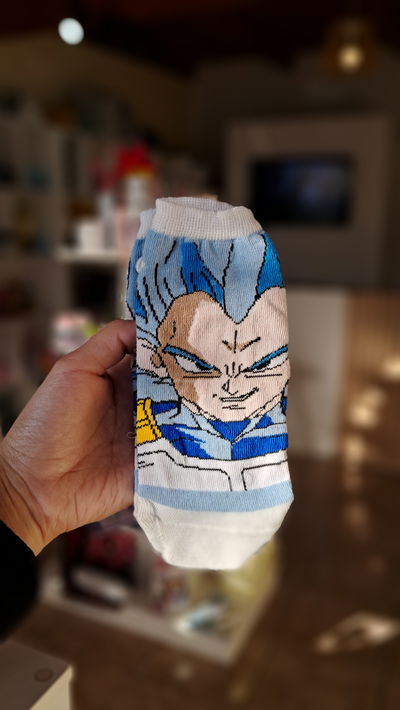 Soquete vegeta