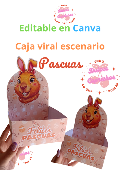 Caja viral escenario Pascua