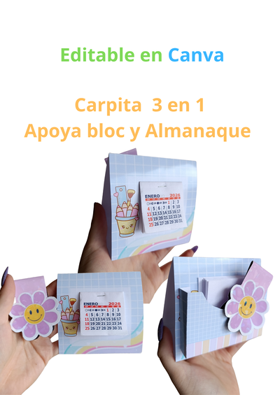 Carpita 3 en 1 
