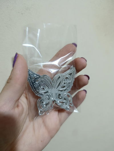 Mariposas caladas 